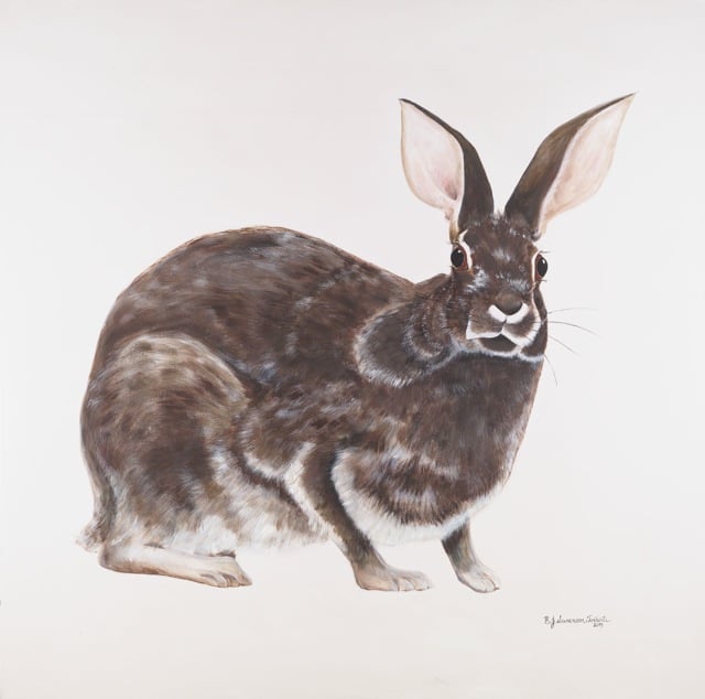 Work by Bonnie Folkerts