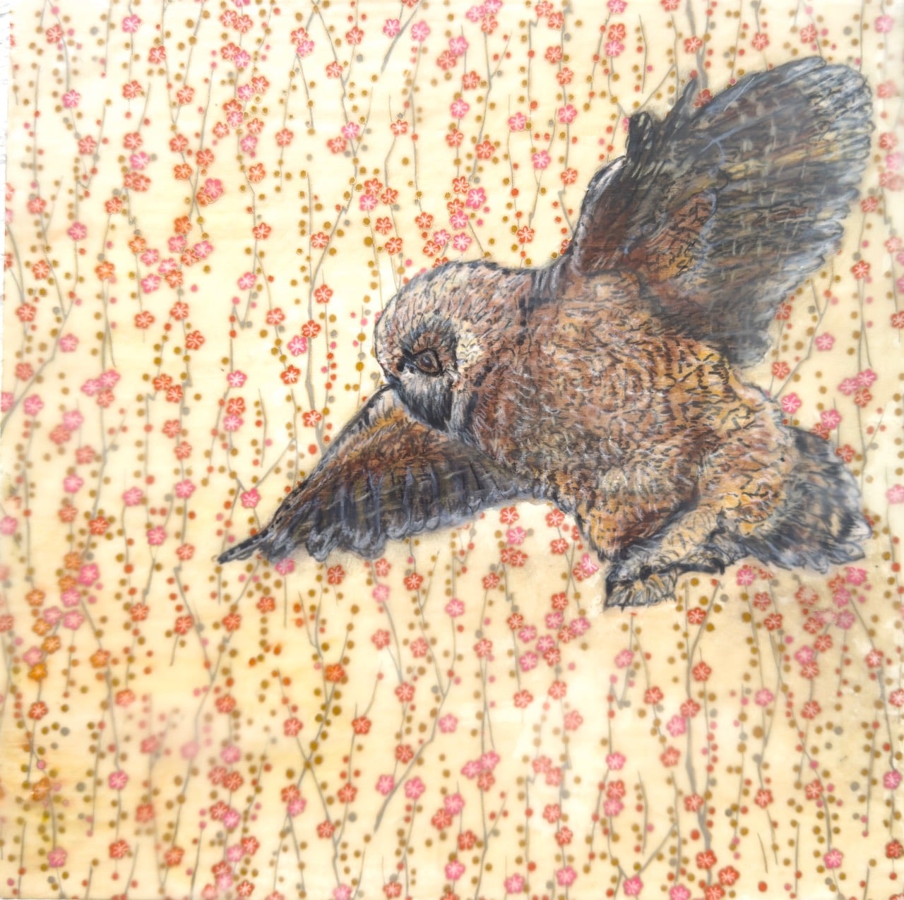 Spring young Owl