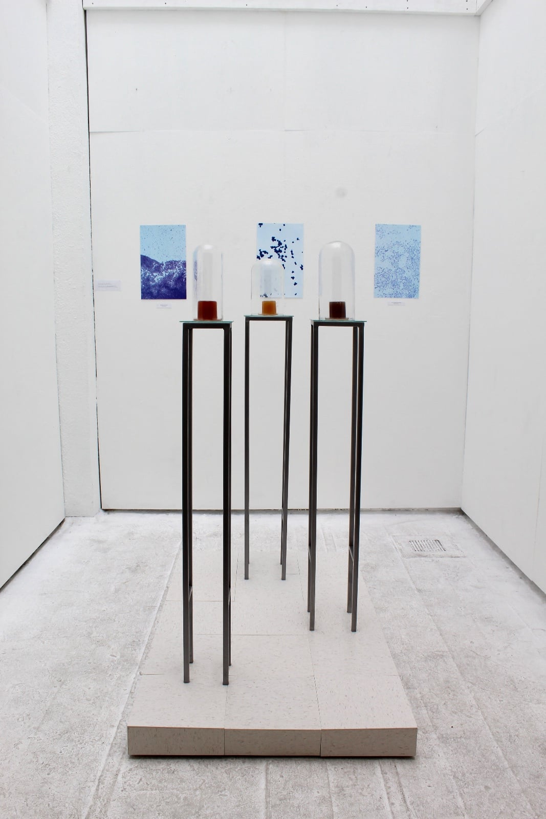 Work by Emily Mulvaney