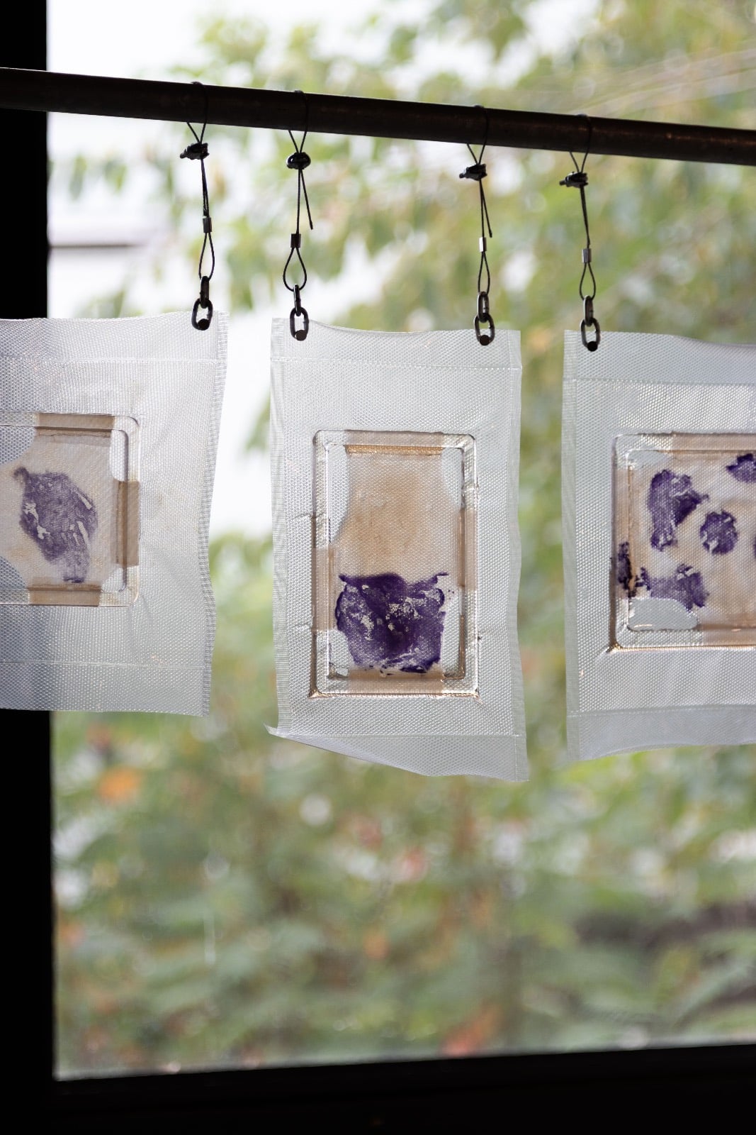 Work by Emily Mulvaney