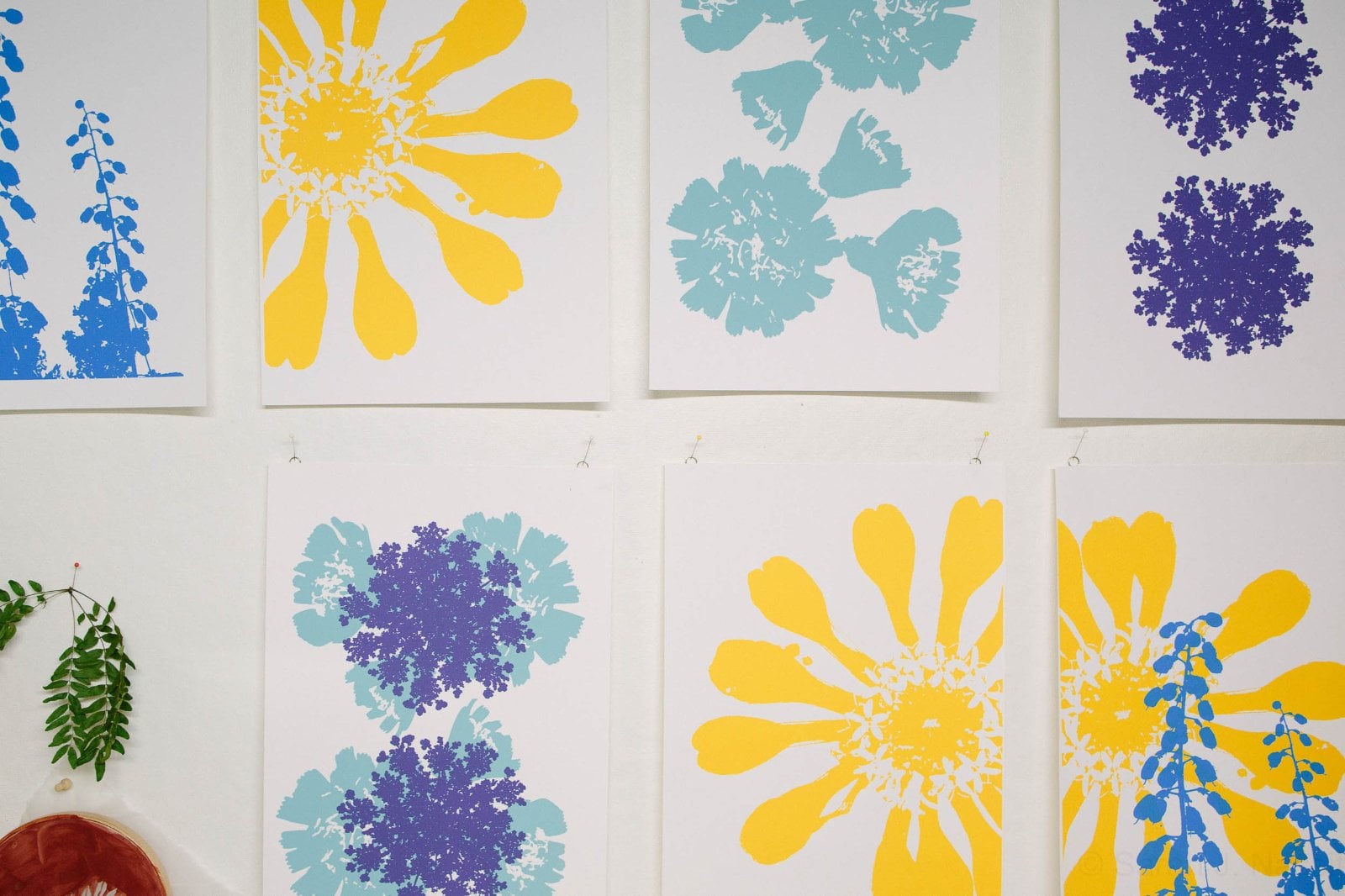 Work by Sarah Nassif